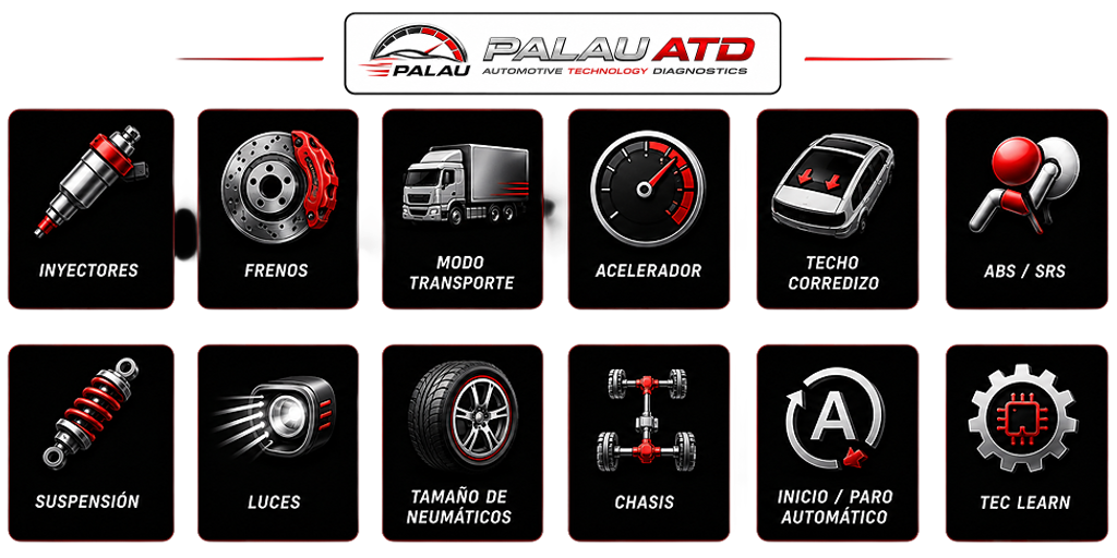 Servicios: inyectores, frenos, modo transporte, acelerador, techo corredizo, ABS/SRS, suspensión, luces, neumáticos, chasis, start-stop y TEC learn